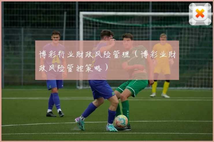 博彩行业财政风险管理（博彩业财政风险管控策略）