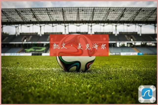 凯文·麦克海尔