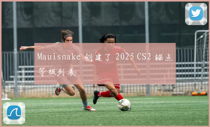 Mauisnake 创建了 2025 CS2 锚点等级列表