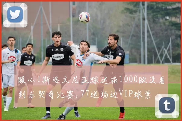暖心!斯洛文尼亚球迷花1000欧没看到东契奇比赛,77送场边VIP球票