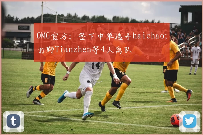 OMG官方：签下中单选手haichao；打野Tianzhen等4人离队