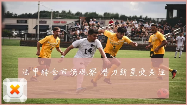 法甲转会市场观察 潜力新星受关注