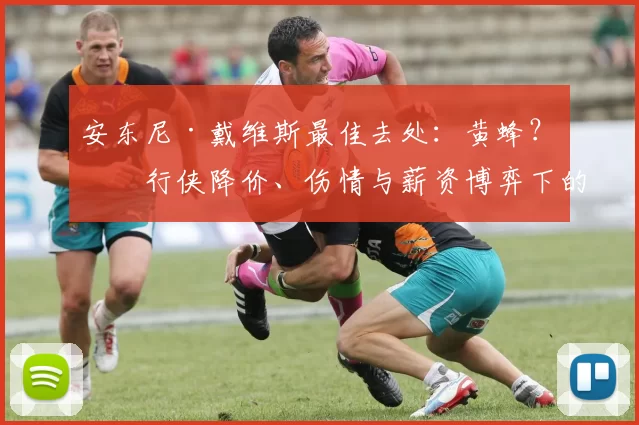 安东尼·戴维斯最佳去处：黄蜂？独行侠降价、伤情与薪资博弈下的冷静判断