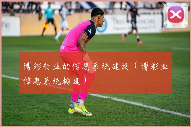 博彩行业的信息系统建设（博彩业信息系统构建）