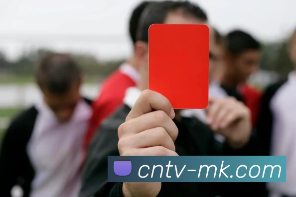 mk体育平台生态图