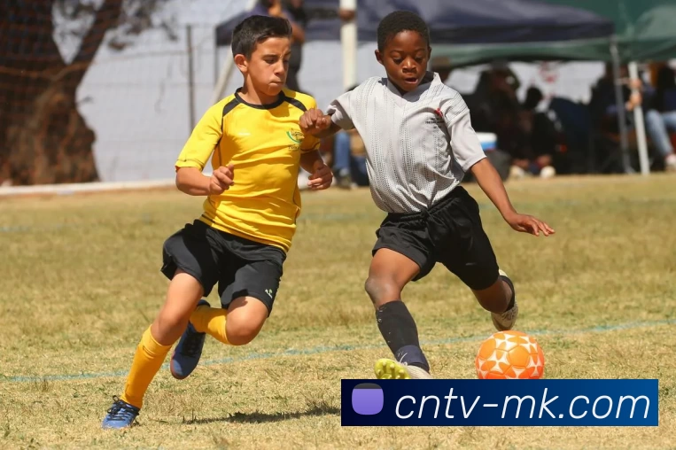 数据防护可视化